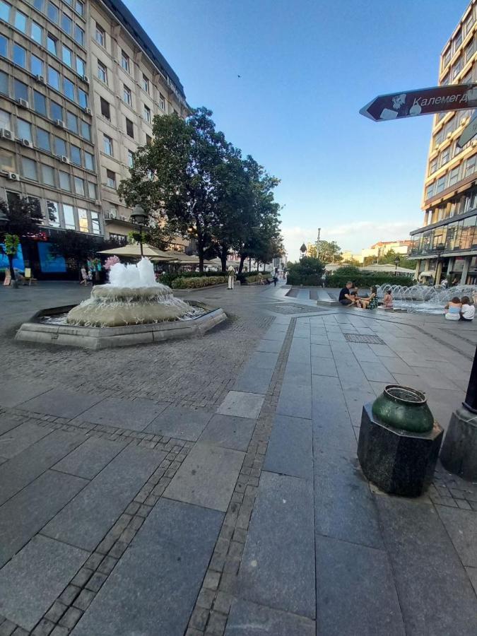 Skardarlija Pijaca Studio Apartman Belgrád Kültér fotó